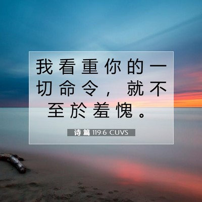 Picture 07 - 诗 篇 119:6 CUVS - 我 看 重 你 的 一 切 命 令 ， 就 不 - Bible Verse Picture