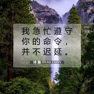 Picture 07 - 诗 篇 119:60 CUVS - 我 急 忙 遵 守 你 的 命 令 ， 并 不 - Bible Verse Picture