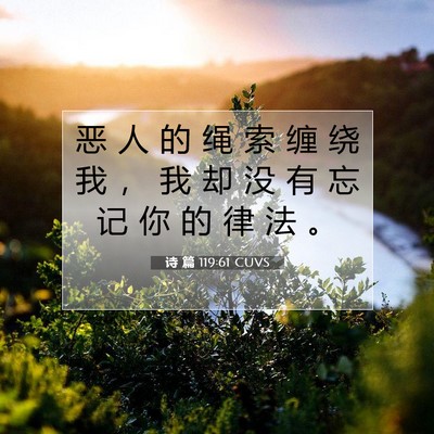 Picture 07 - 诗 篇 119:61 CUVS - 恶 人 的 绳 索 缠 绕 我 ， 我 却 没 - Bible Verse Picture
