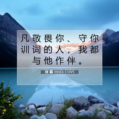 Picture 07 - 诗 篇 119:63 CUVS - 凡 敬 畏 你 、 守 你 训 词 的 人 ， - Bible Verse Picture