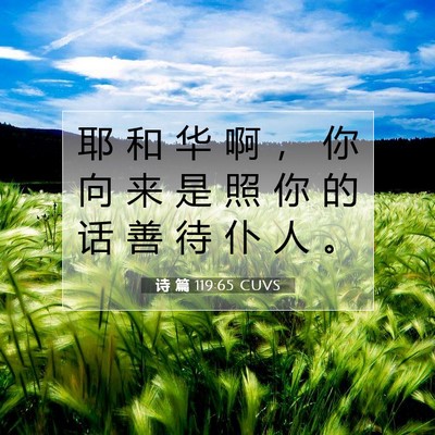 Picture 07 - 诗 篇 119:65 CUVS - 耶 和 华 啊 ， 你 向 来 是 照 你 的 - Bible Verse Picture