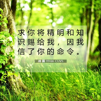 Picture 07 - 诗 篇 119:66 CUVS - 求 你 将 精 明 和 知 识 赐 给 我 ， - Bible Verse Picture