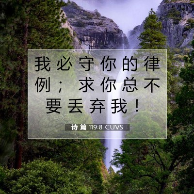 Picture 07 - 诗 篇 119:8 CUVS - 我 必 守 你 的 律 例 ； 求 你 总 不 - Bible Verse Picture