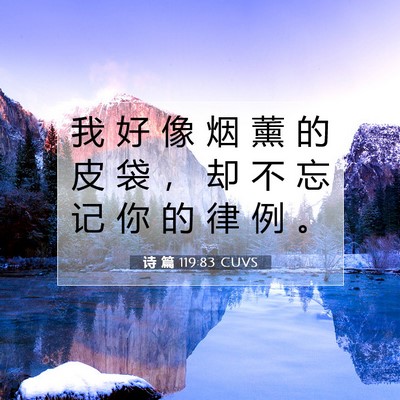 Picture 07 - 诗 篇 119:83 CUVS - 我 好 像 烟 薰 的 皮 袋 ， 却 不 忘 - Bible Verse Picture