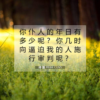 Picture 07 - 诗 篇 119:84 CUVS - 你 仆 人 的 年 日 有 多 少 呢 ？ 你 - Bible Verse Picture