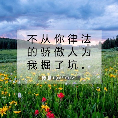 Picture 07 - 诗 篇 119:85 CUVS - 不 从 你 律 法 的 骄 傲 人 为 我 掘 - Bible Verse Picture