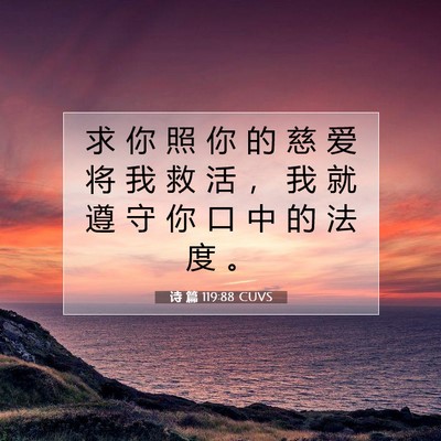 Picture 07 - 诗 篇 119:88 CUVS - 求 你 照 你 的 慈 爱 将 我 救 活 ， - Bible Verse Picture