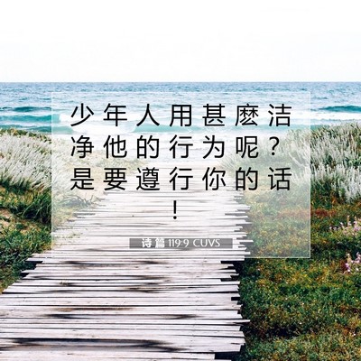 Picture 07 - 诗 篇 119:9 CUVS - 少 年 人 用 甚 麽 洁 净 他 的 行 为 - Bible Verse Picture