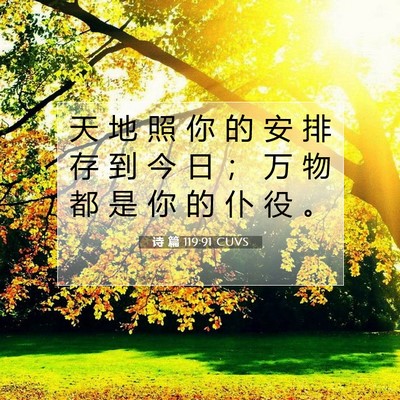 Picture 07 - 诗 篇 119:91 CUVS - 天 地 照 你 的 安 排 存 到 今 日 ； - Bible Verse Picture