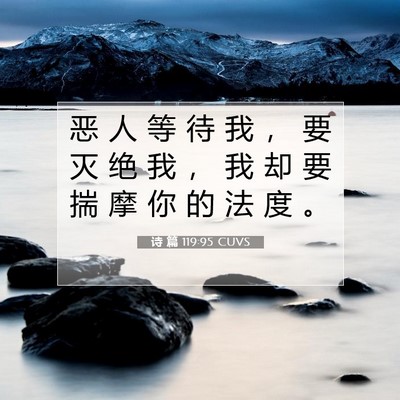 Picture 07 - 诗 篇 119:95 CUVS - 恶 人 等 待 我 ， 要 灭 绝 我 ， 我 - Bible Verse Picture