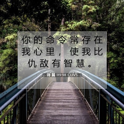 Picture 07 - 诗 篇 119:98 CUVS - 你 的 命 令 常 存 在 我 心 里 ， 使 - Bible Verse Picture