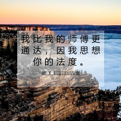 Picture 07 - 诗 篇 119:99 CUVS - 我 比 我 的 师 傅 更 通 达 ， 因 我 - Bible Verse Picture