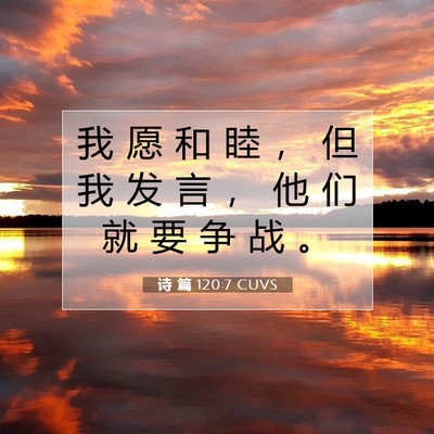 Picture 07 - 诗 篇 120:7 CUVS - 我 愿 和 睦 ， 但 我 发 言 ， 他 们 - Bible Verse Picture