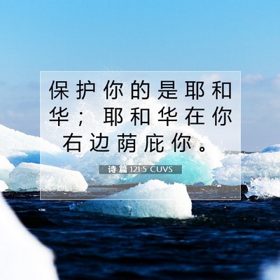 Picture 07 - 诗 篇 121:5 CUVS - 保 护 你 的 是 耶 和 华 ； 耶 和 华 - Bible Verse Picture