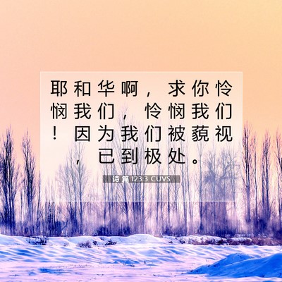 Picture 07 - 诗 篇 123:3 CUVS - 耶 和 华 啊 ， 求 你 怜 悯 我 们 ， - Bible Verse Picture