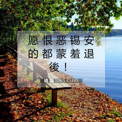 Picture 07 - 诗 篇 129:5 CUVS - 愿 恨 恶 锡 安 的 都 蒙 羞 退 後 - Bible Verse Picture