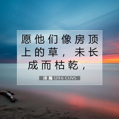Picture 07 - 诗 篇 129:6 CUVS - 愿 他 们 像 房 顶 上 的 草 ， 未 长 - Bible Verse Picture