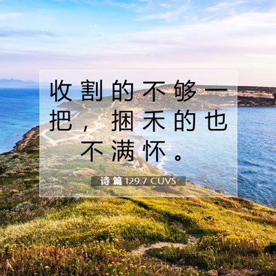 Picture 07 - 诗 篇 129:7 CUVS - 收 割 的 不 够 一 把 ， 捆 禾 的 也 - Bible Verse Picture