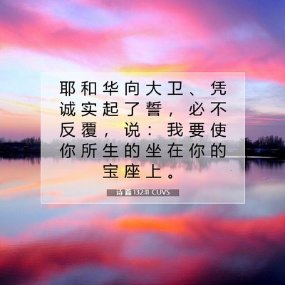 Picture 07 - 诗 篇 132:11 CUVS - 耶 和 华 向 大 卫 、 凭 诚 实 起 了 - Bible Verse Picture