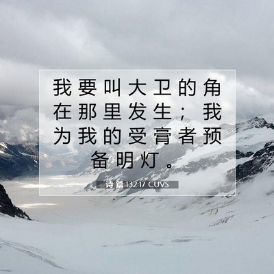 Picture 07 - 诗 篇 132:17 CUVS - 我 要 叫 大 卫 的 角 在 那 里 发 生 - Bible Verse Picture