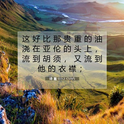 Picture 07 - 诗 篇 133:2 CUVS - 这 好 比 那 贵 重 的 油 浇 在 亚 伦 - Bible Verse Picture