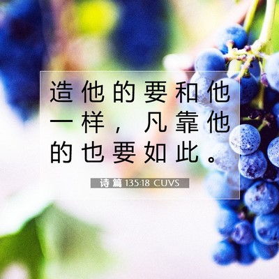 Picture 07 - 诗 篇 135:18 CUVS - 造 他 的 要 和 他 一 样 ， 凡 靠 他 - Bible Verse Picture