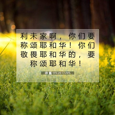 Picture 07 - 诗 篇 135:20 CUVS - 利 未 家 啊 ， 你 们 要 称 颂 耶 和 - Bible Verse Picture