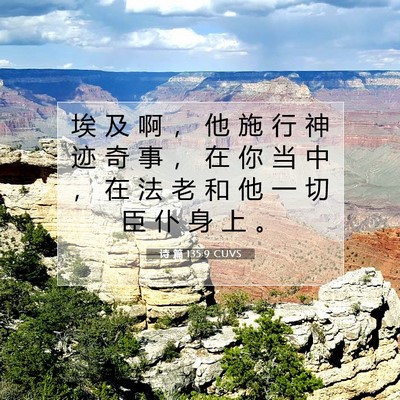 Picture 07 - 诗 篇 135:9 CUVS - 埃 及 啊 ， 他 施 行 神 迹 奇 事 ， - Bible Verse Picture