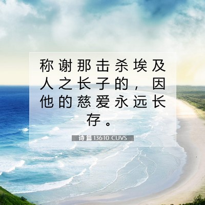 Picture 07 - 诗 篇 136:10 CUVS - 称 谢 那 击 杀 埃 及 人 之 长 子 的 - Bible Verse Picture