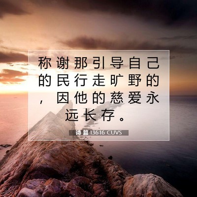 Picture 07 - 诗 篇 136:16 CUVS - 称 谢 那 引 导 自 己 的 民 行 走 旷 - Bible Verse Picture