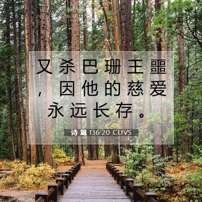 Picture 07 - 诗 篇 136:20 CUVS - 又 杀 巴 珊 王 噩 ， 因 他 的 慈 爱 - Bible Verse Picture
