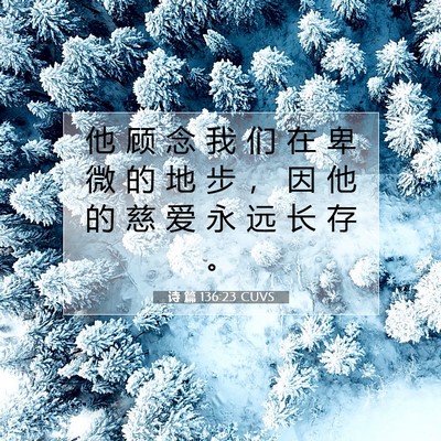 Picture 07 - 诗 篇 136:23 CUVS - 他 顾 念 我 们 在 卑 微 的 地 步 ， - Bible Verse Picture