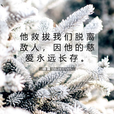Picture 07 - 诗 篇 136:24 CUVS - 他 救 拔 我 们 脱 离 敌 人 ， 因 他 - Bible Verse Picture