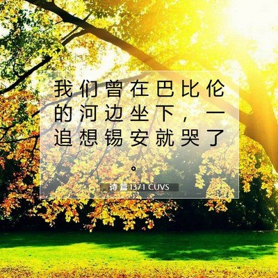 Picture 07 - 诗 篇 137:1 CUVS - 我 们 曾 在 巴 比 伦 的 河 边 坐 下 - Bible Verse Picture