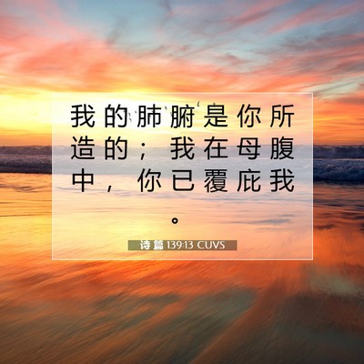 Picture 07 - 诗 篇 139:13 CUVS - 我 的 肺 腑 是 你 所 造 的 ； 我 在 - Bible Verse Picture