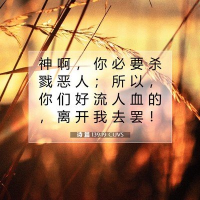 Picture 07 - 诗 篇 139:19 CUVS - 神 啊 ， 你 必 要 杀 戮 恶 人 ； 所 - Bible Verse Picture