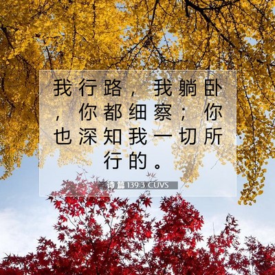 Picture 07 - 诗 篇 139:3 CUVS - 我 行 路 ， 我 躺 卧 ， 你 都 细 察 - Bible Verse Picture