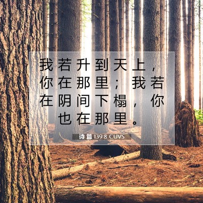 Picture 07 - 诗 篇 139:8 CUVS - 我 若 升 到 天 上 ， 你 在 那 里 ； - Bible Verse Picture