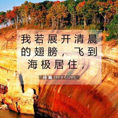 Picture 07 - 诗 篇 139:9 CUVS - 我 若 展 开 清 晨 的 翅 膀 ， 飞 到 - Bible Verse Picture