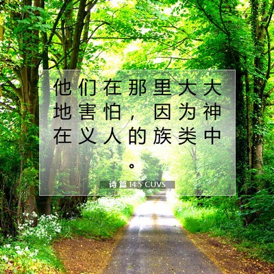 Picture 07 - 诗 篇 14:5 CUVS - 他 们 在 那 里 大 大 地 害 怕 ， 因 - Bible Verse Picture