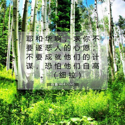 Picture 07 - 诗 篇 140:8 CUVS - 耶 和 华 啊 ， 求 你 不 要 遂 恶 人 - Bible Verse Picture