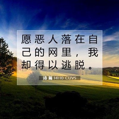 Picture 07 - 诗 篇 141:10 CUVS - 愿 恶 人 落 在 自 己 的 网 里 ， 我 - Bible Verse Picture