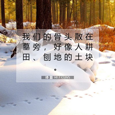 Picture 07 - 诗 篇 141:7 CUVS - 我 们 的 骨 头 散 在 墓 旁 ， 好 像 - Bible Verse Picture