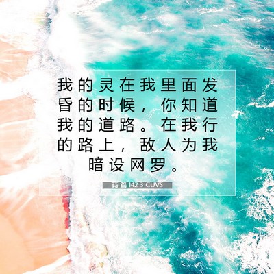 Picture 07 - 诗 篇 142:3 CUVS - 我 的 灵 在 我 里 面 发 昏 的 时 候 - Bible Verse Picture
