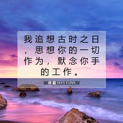 Picture 07 - 诗 篇 143:5 CUVS - 我 追 想 古 时 之 日 ， 思 想 你 的 - Bible Verse Picture