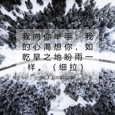 Picture 07 - 诗 篇 143:6 CUVS - 我 向 你 举 手 ； 我 的 心 渴 想 你 - Bible Verse Picture