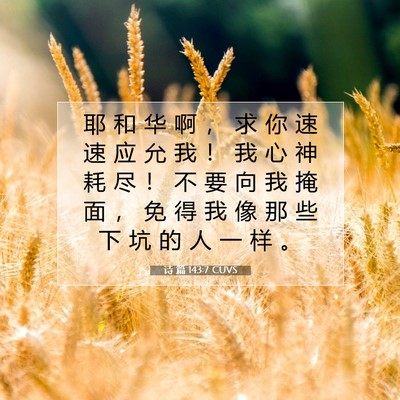 Picture 07 - 诗 篇 143:7 CUVS - 耶 和 华 啊 ， 求 你 速 速 应 允 我 - Bible Verse Picture