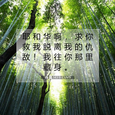 Picture 07 - 诗 篇 143:9 CUVS - 耶 和 华 啊 ， 求 你 救 我 脱 离 我 - Bible Verse Picture