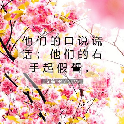 Picture 07 - 诗 篇 144:8 CUVS - 他 们 的 口 说 谎 话 ； 他 们 的 右 - Bible Verse Picture