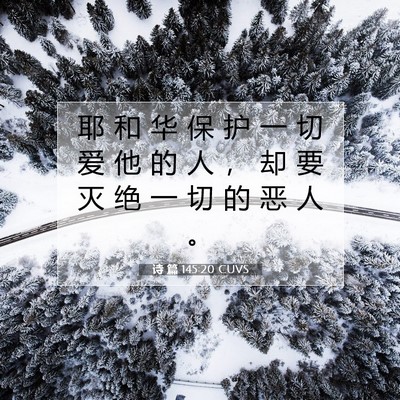 Picture 07 - 诗 篇 145:20 CUVS - 耶 和 华 保 护 一 切 爱 他 的 人 ， - Bible Verse Picture